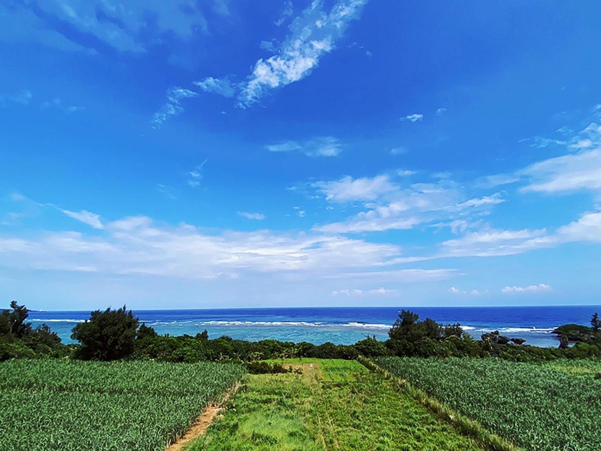 真栄田グランブルー403 ~ Maeda Grand Blue 403 ~ Διαμέρισμα Onna Εξωτερικό φωτογραφία
